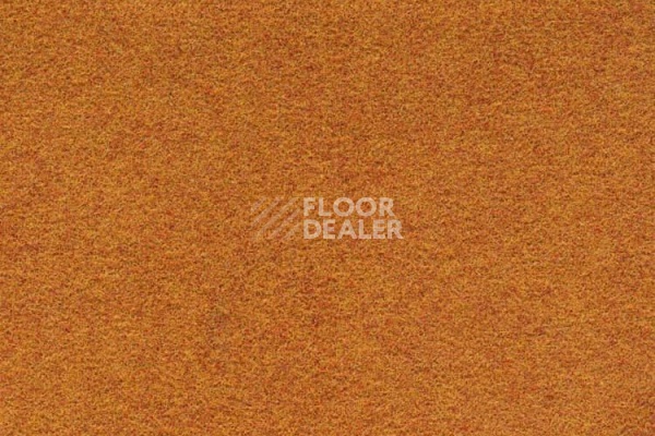 Ковровая плитка FINETT Dimension p509209 – f509109 фото 1 | FLOORDEALER